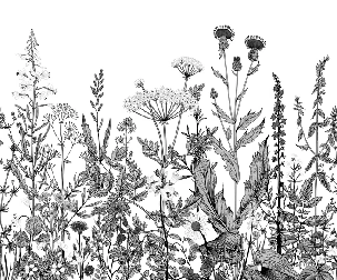 Papier peint botanique folk noir et blanc - Muralconcept