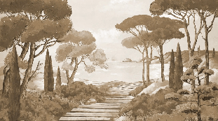 Monochrome wallpaper featuring a stroll through the calanques