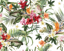 Papier peint tropical & Fleurs colorées - Muralconcept