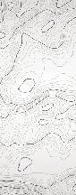 Papier peint ligne topographique - Noir et blanc - Muralconcept