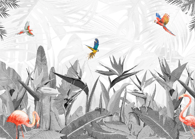 Black and white bird of paradise wallpaper