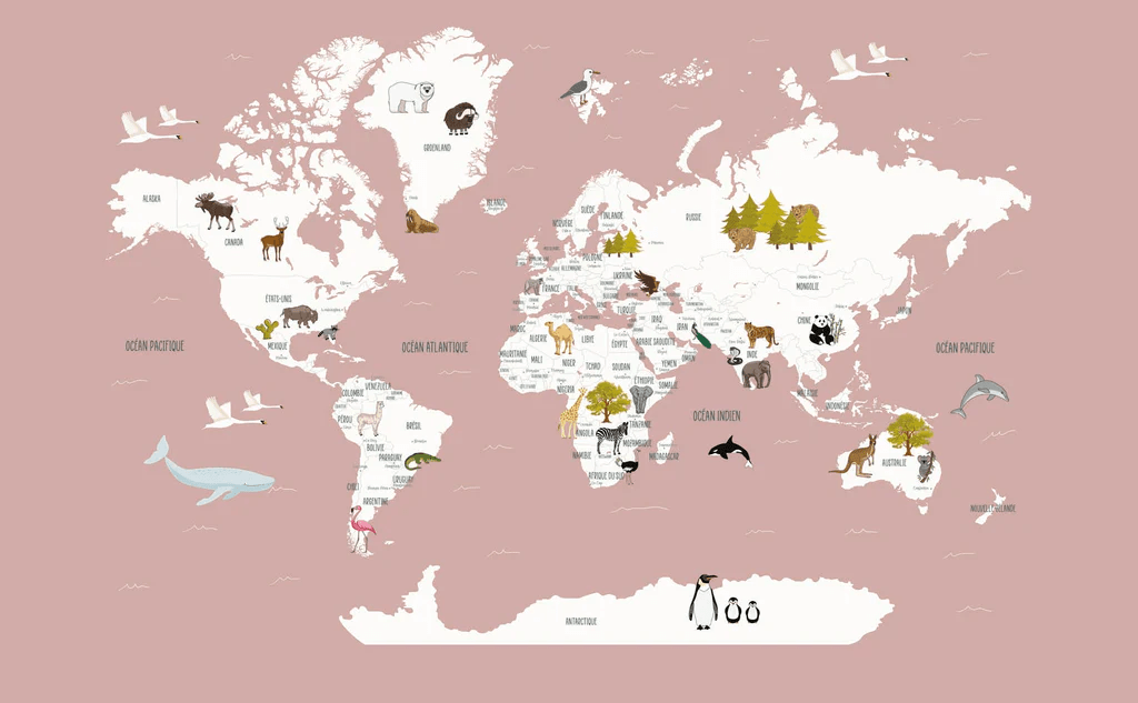 Wallpaper World Map in French for Children, Old Pink