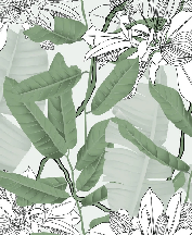 Nature foliage green flower NB wallpaper