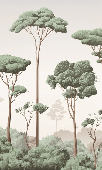 Light Breeze Pine Forest Wallpaper