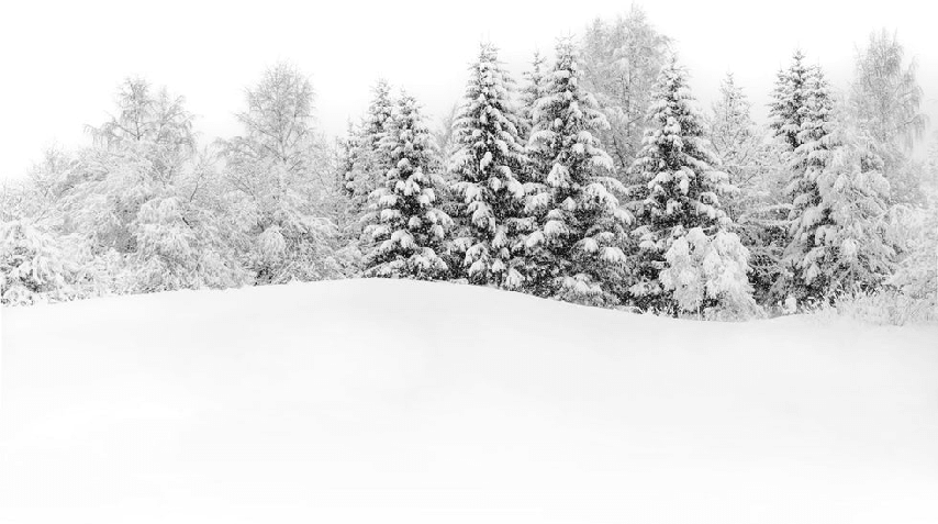 Papier peint panoramique évasion hivernale - Muralconcept