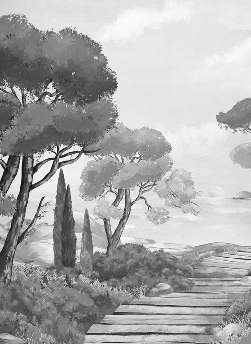 Black and white wallpaper featuring a stroll through the calanques