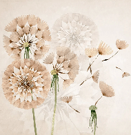 Tapete Blume Löwenzahn