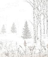 Schwarz-weiße Waldtapete – Douceur des Bois - Muralconcept