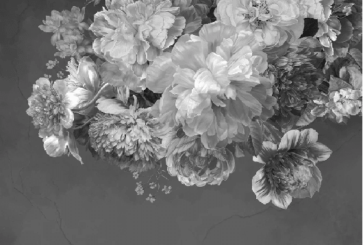 Papier peint fleur pivoine noir et blanc - Muralconcept