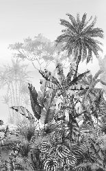 Papier peint tendance tropical noir et blanc - Muralconcept