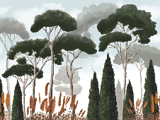 Papier peint sur mesure cyprès pins et herbes de la pampa - Muralconcept