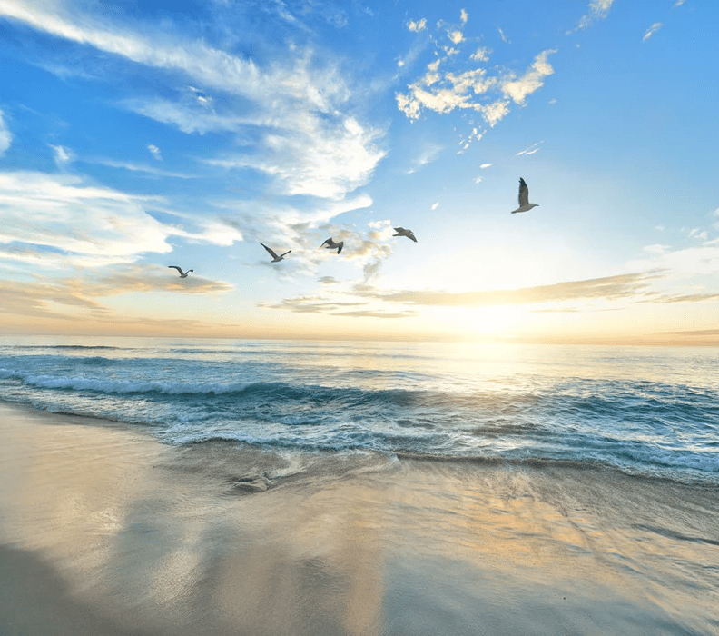 Carta da parati Paradise Beach