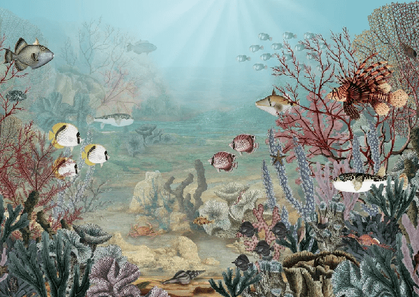 Papier peint vie sous la mer - Muralconcept