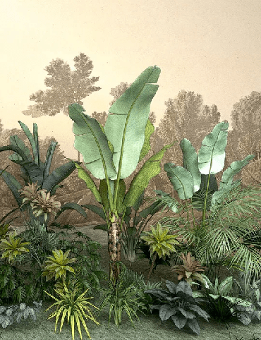 Papier peint toilette Jungle tendance indonésia - Muralconcept