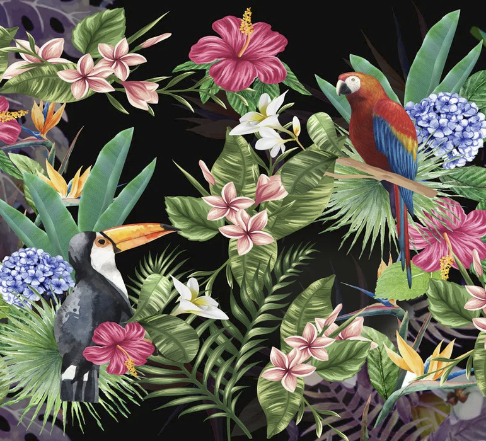 Papier peint Tropical & Toucan - Muralconcept