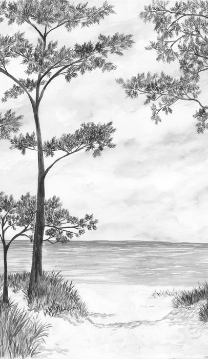 Papier peint Pins maritimes et dunes - Noir et blanc - Muralconcept