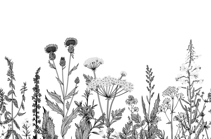 Papier peint botanique folk noir et blanc - Muralconcept