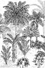 Papier peint toilette jungle cocotier tendance gravure
