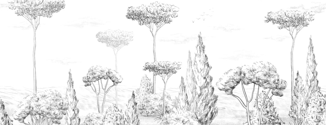 Papier peint panoramique forêt antique - Muralconcept
