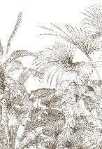 Papier peint tropical gravure monochrome - Muralconcept