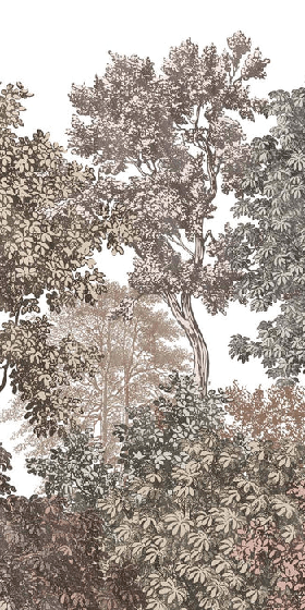 Papier peint paysage forêt gravure rosé