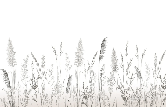 Poetic pampas wallpaper