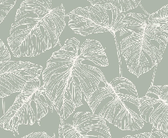Papier peint feuille monstera sauge - Muralconcept