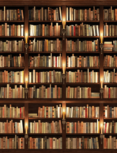 Papier peint trompe l'oeil Authentique Bibliothèque
