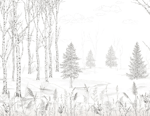 Papier peint forêt noir et blanc – Douceur des Bois - Muralconcept