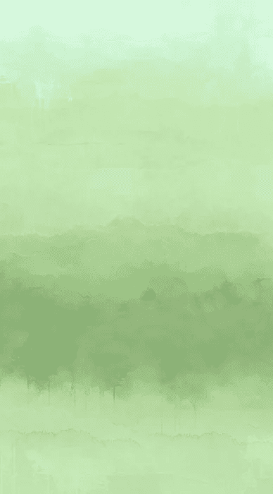 Papier peint panoramique dégradé vert - Muralconcept