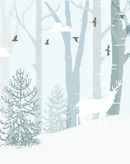 Papier peint chambre enfant Laponie, XXL, tendance