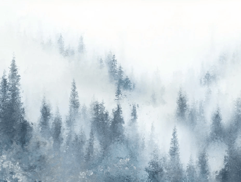 Papier peint restaurant sapin brume bleu aquarelle - Muralconcept