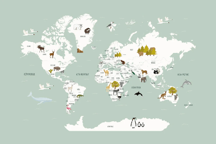 Papier peint Carte du monde en Francais enfant vert - Muralconcept