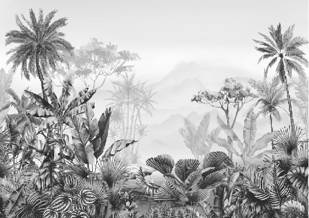 Papier peint tendance tropical noir et blanc - Muralconcept