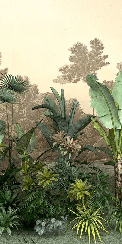 Papier peint toilette Jungle tendance indonésia