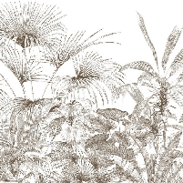 Papier peint tropical gravure monochrome, XXL, tendance