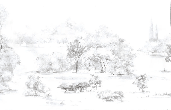 Papier peint forêt de pin aquarelle - Muralconcept