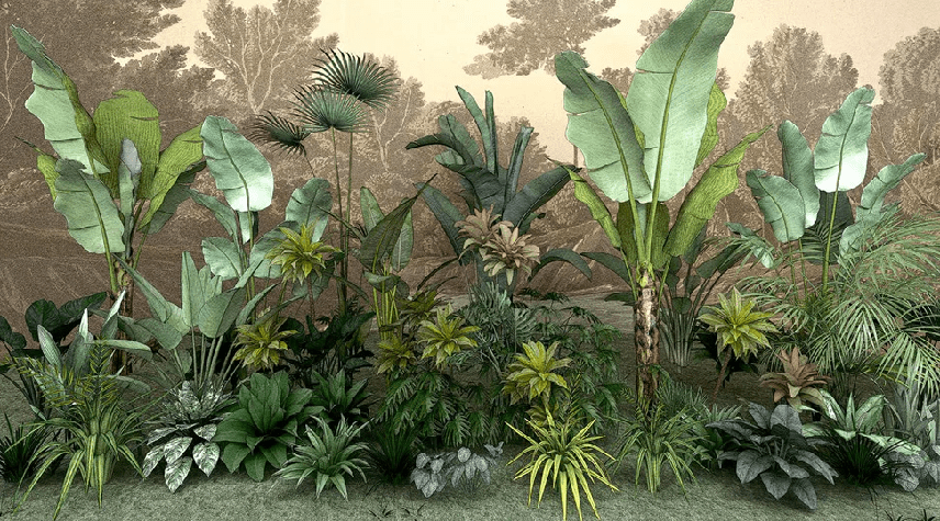 Papier peint Jungle tendance indonésia - Muralconcept