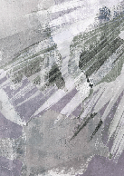 Papier peint panoramique rétro palm - Muralconcept