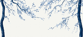 Papier peint panoramique fleur Sakura blanc