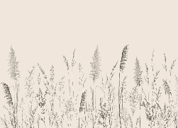 Papier peint panoramique prairie sauvage - Muralconcept