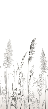 Papier peint poétique pampa - Muralconcept