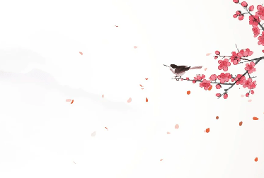 Zen harmony sakura wallpaper