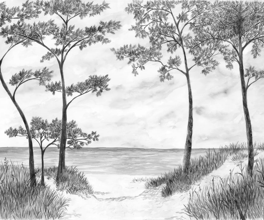 Papier peint Pins maritimes et dunes - Noir et blanc - Muralconcept