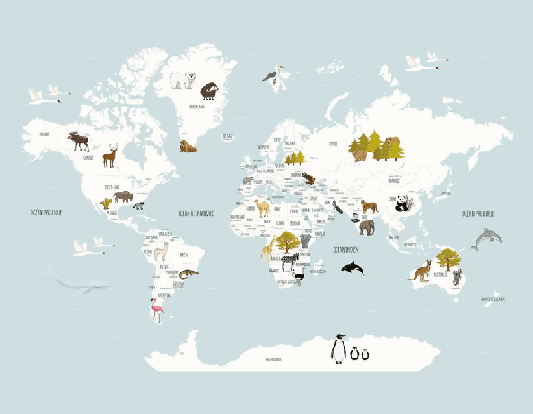 Papier peint Carte du monde en Francais enfant bleu glacier - Muralconcept