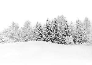 Papier peint panoramique évasion hivernale - Muralconcept