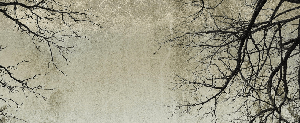 Papier peint Forêt Enchantée - Muralconcept
