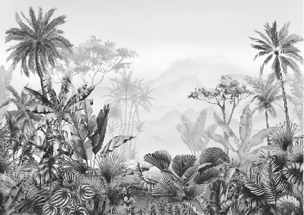 Papier peint tendance tropical noir et blanc - Muralconcept