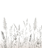 Papier peint poétique pampa, XXL, tendance