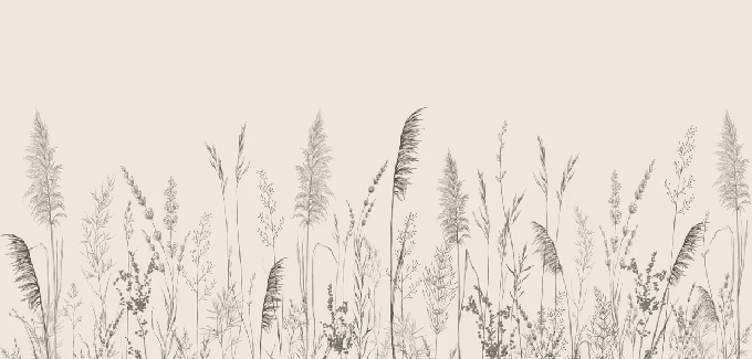 Papier peint panoramique prairie sauvage - Muralconcept